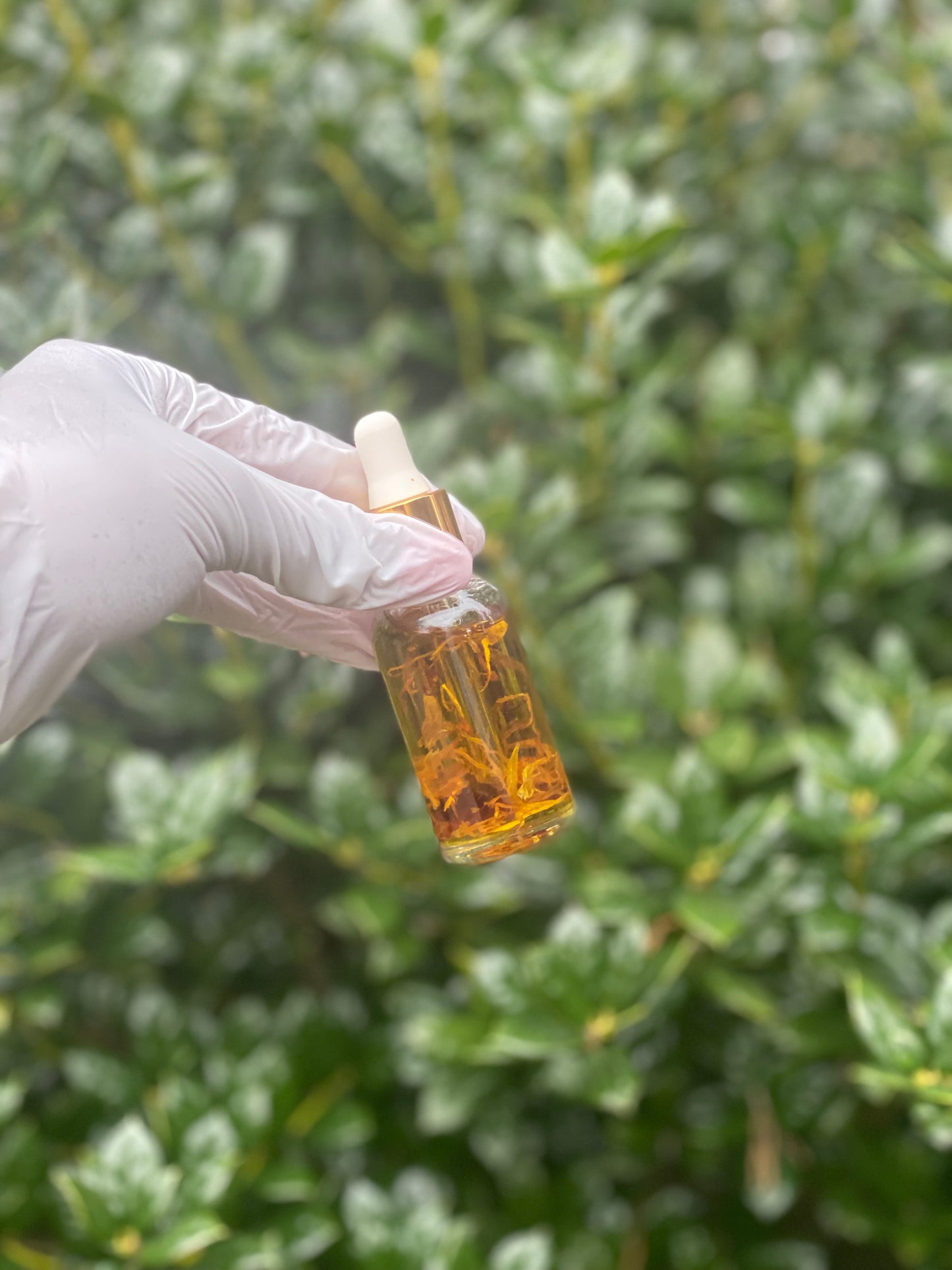 Botanical Facial Serum for glowing clear skin